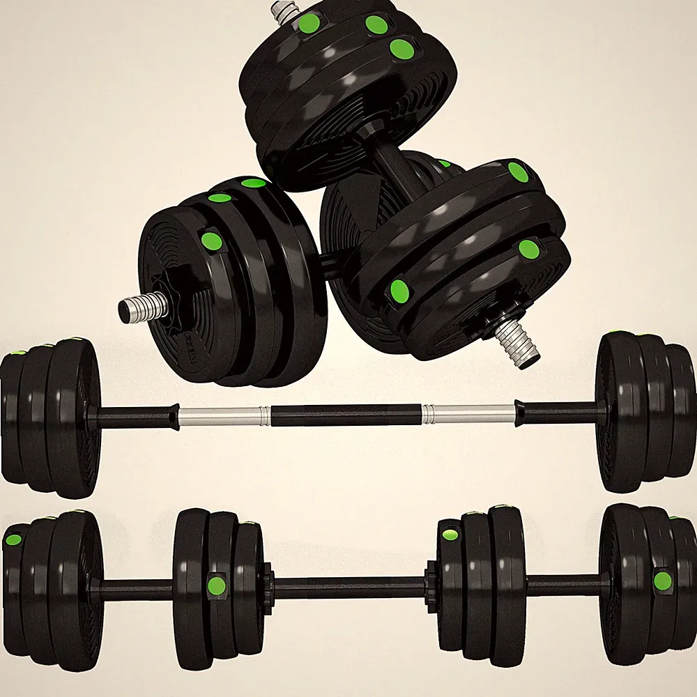 2-in-1 Hantel Set, 25 kg verstellbar Dumbbell Set mit 12 Hantelscheiben Schwarz