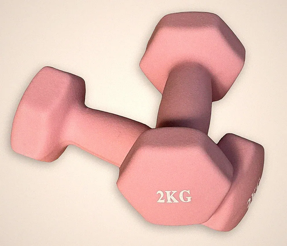 2 x 2,0 kg Hantelset Stahl Vinyl Kurzhanteln Fausthanteln - rosa