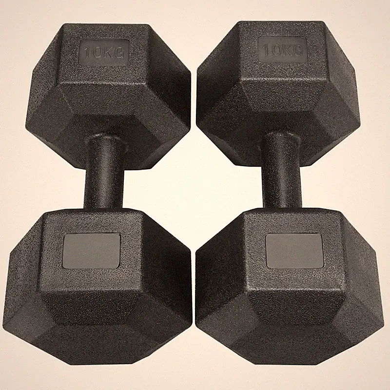 2er Set Kurzhanteln 10 kg