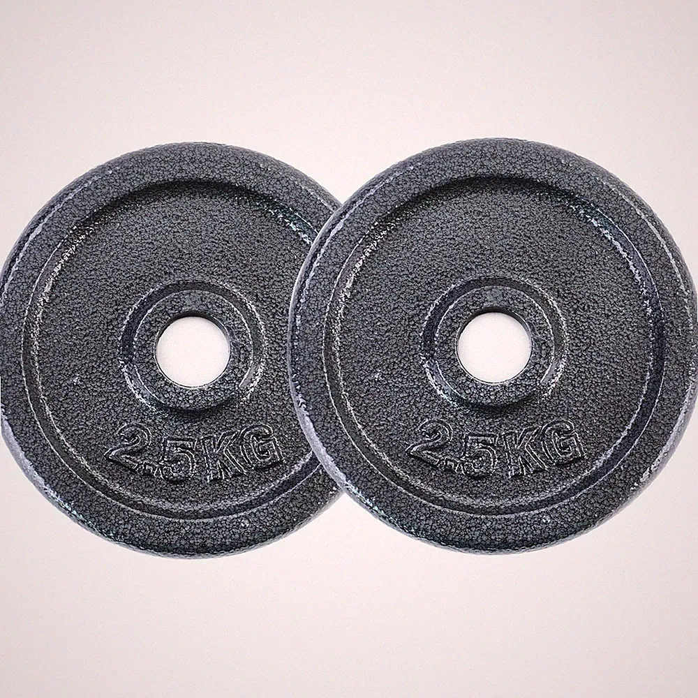 5 kg Hantelscheiben Set 2x2,5 kg Gusseisen Hantel Gewicht versiegelt 28mm