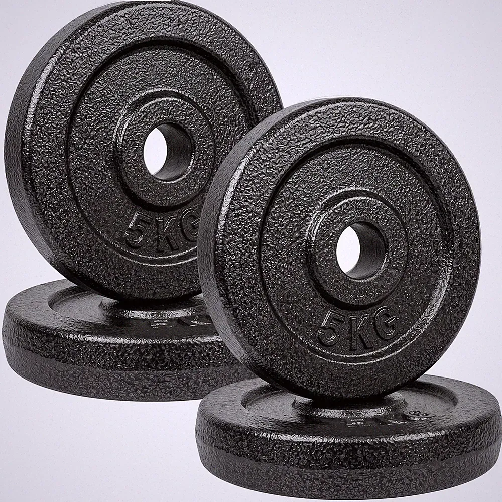 5kg Hantelscheiben Set 4x5kg Metall 1 Zoll Standard Langhantel Hantel grau