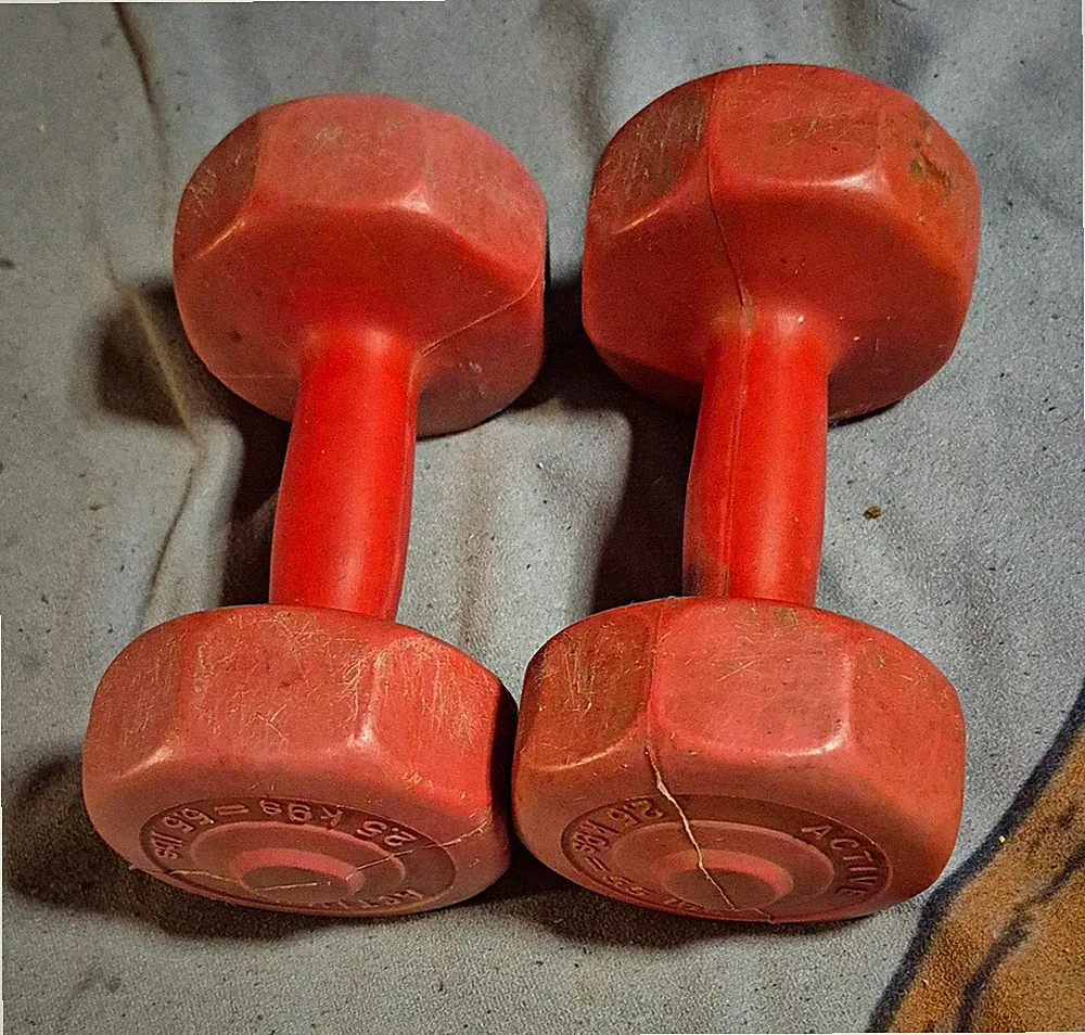 ACTIVE Kurzhantel Set 2x 2,5 kg rot für Fitnessstudio & Training