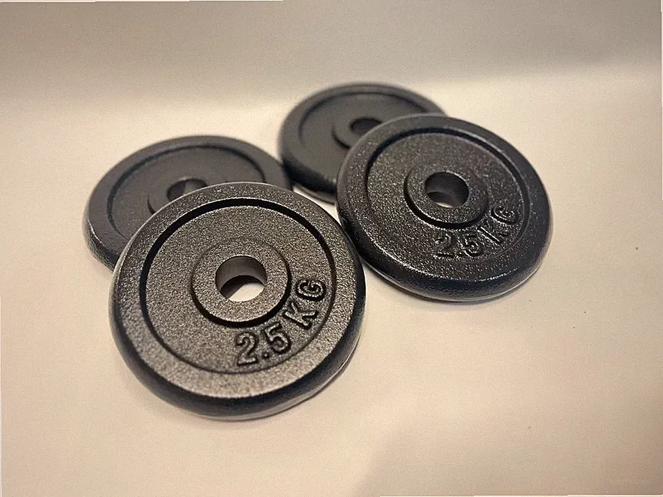 Alex 4 x 2,5 kg Hantelscheiben