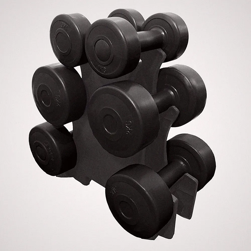 Azure 12kg Hantel Gewicht Set mit Ständer Frauen Home Lifting Gym Training