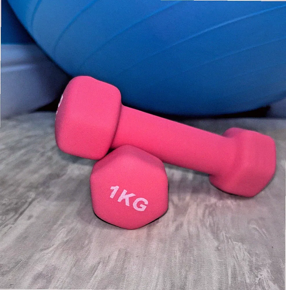 Bunte Neopren Hanteln 1kg pink