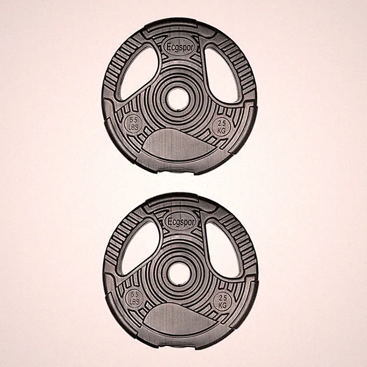 Fidusport Hantelscheiben 2x2,5 kg Vinyl
