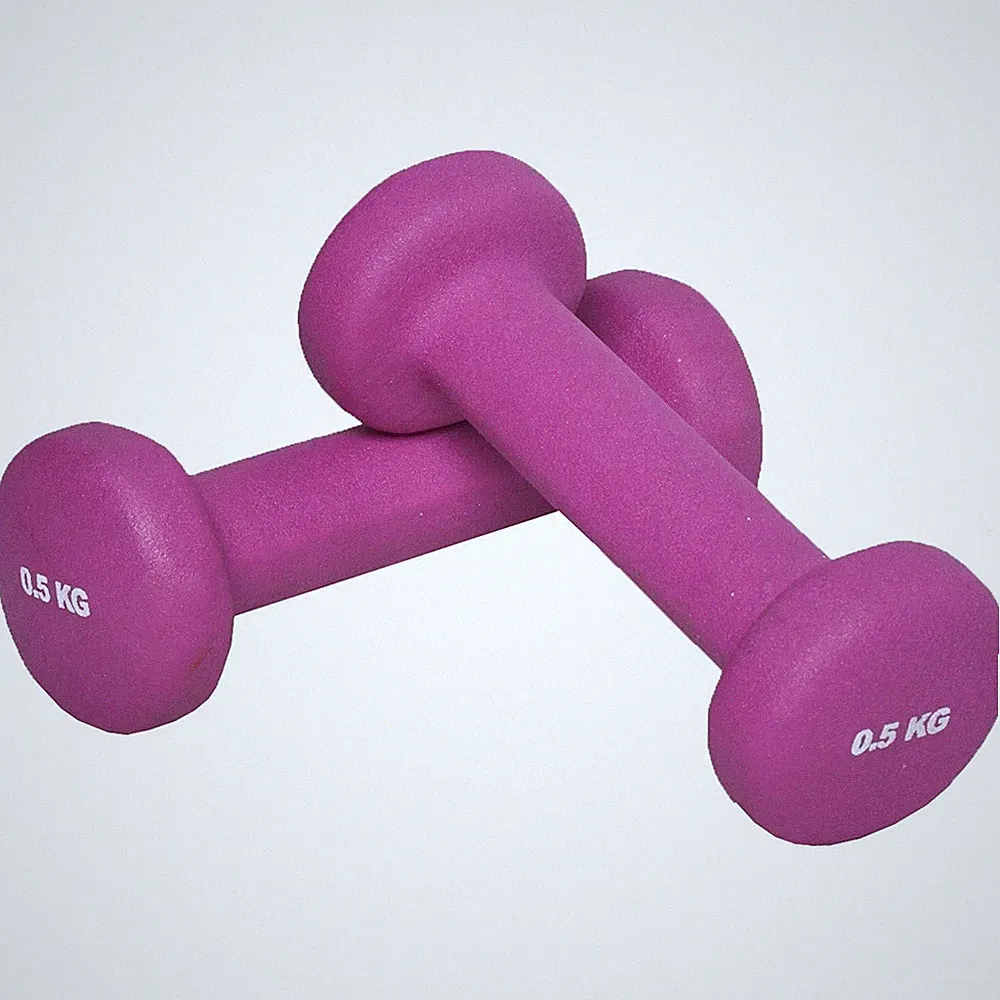 Gorilla Sports Vinyl Kurzhantel 2 x 0,5 kg Pink