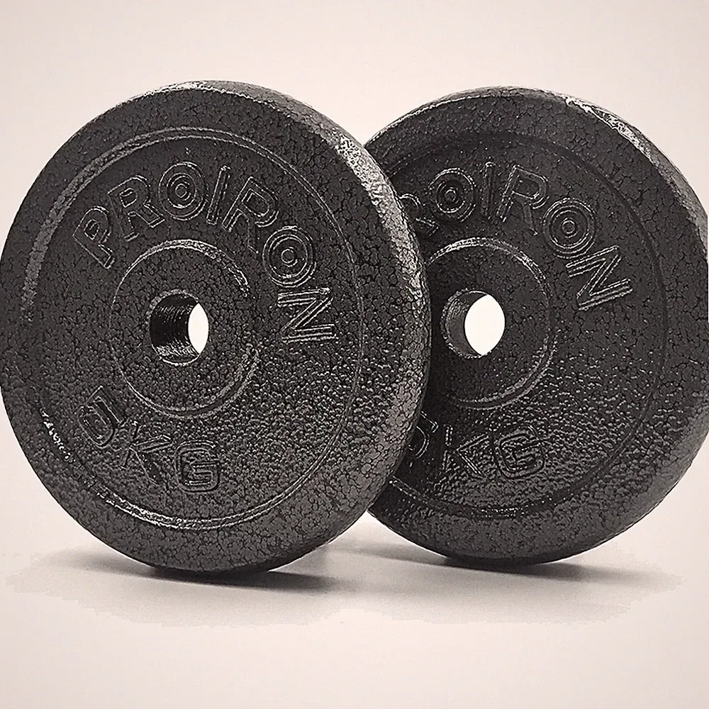 Hantelscheiben Gusseisen 1,25kg 2,5kg 5kg 10kg für 2,5cm Hantelstange