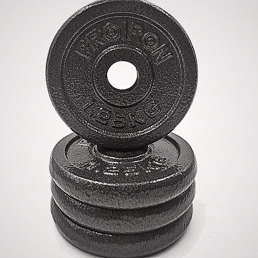Hantelscheiben Gusseisen 1,25kg 2,5kg 5kg 10kg Set 25mm Hantelstange