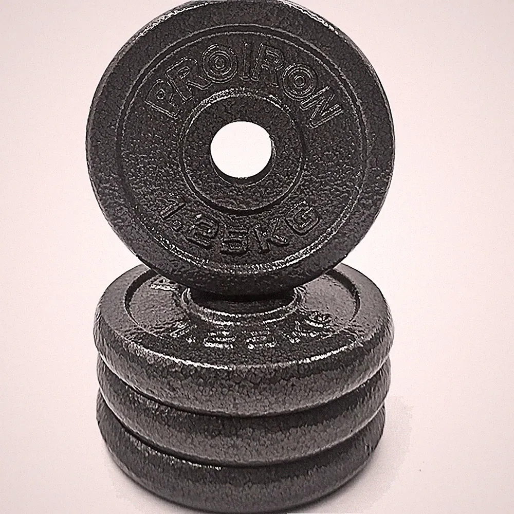 Hantelscheiben Gusseisen Set 1,25 2,5 5 10 kg kompatibel 25 mm