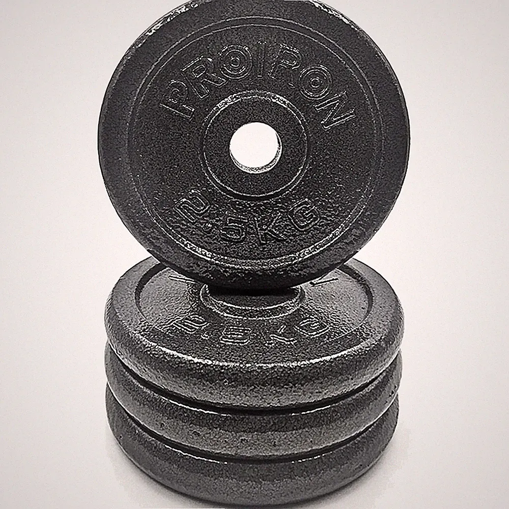Hantelscheiben Set 1,25 kg 2,5 kg 5 kg 10 kg Gusseisen für 2,5 cm Hantelstang...