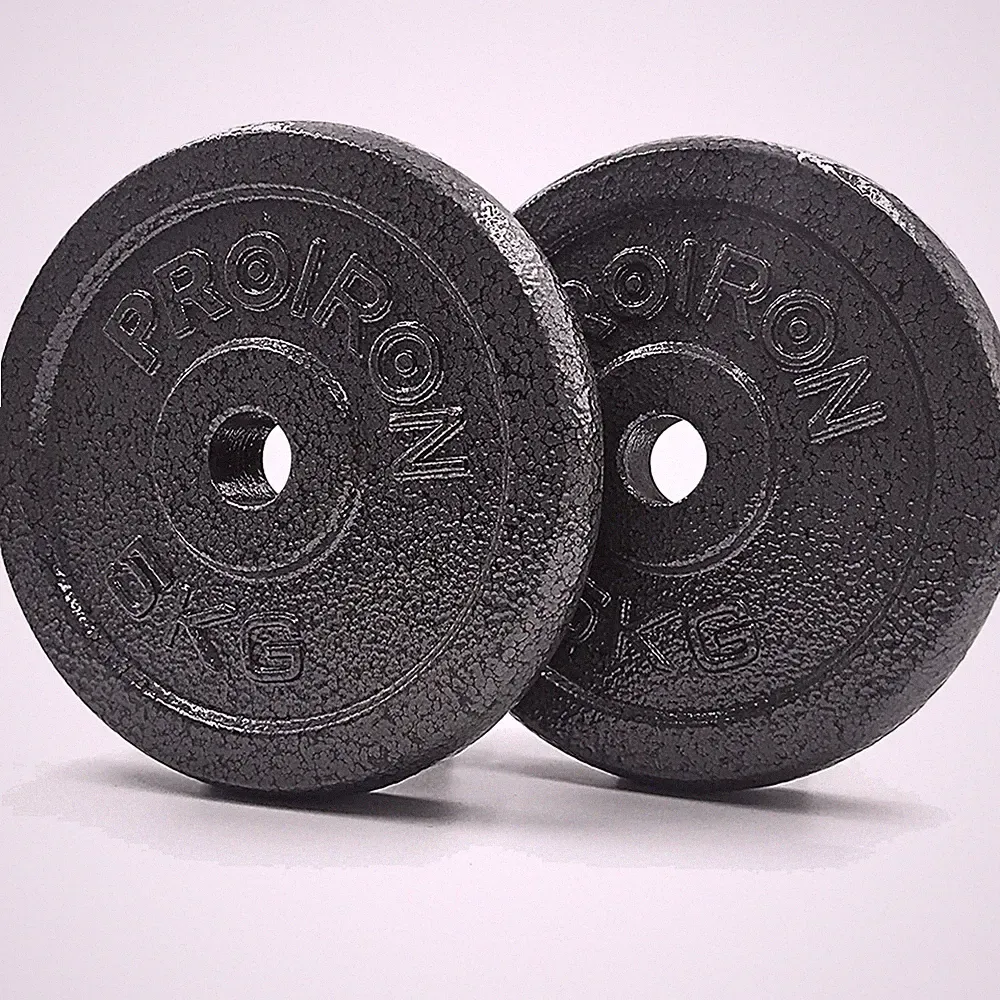 Hantelscheiben Set 1,25kg 2,5kg 5kg 10kg Gusseisen für 2,5cm Hantelstange Pro...