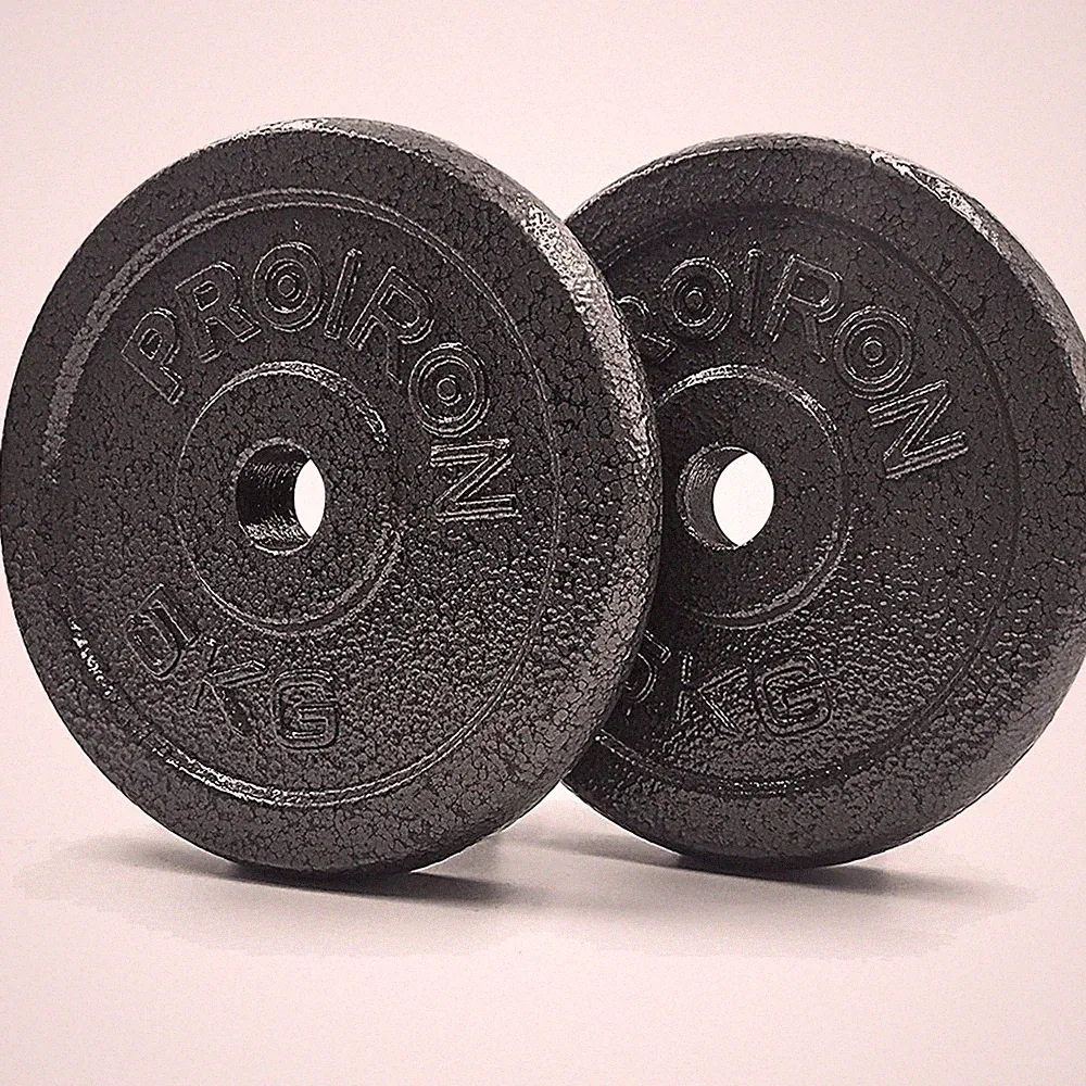 Hantelscheiben Set Gusseisen 1,25kg 2,5kg 5kg 10kg 25mm Hantelstange