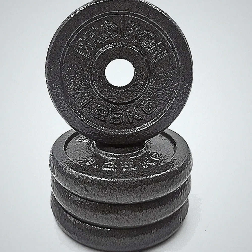 Hantelscheiben Set Gusseisen 1,25kg 2,5kg 5kg 10kg Hantelstange Gewichte