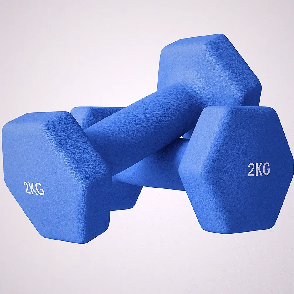 Hantelset 2x2kg blau Kunststoff Sechskant rutschfest Griff Paar 16x7,5x7,5cm für Home Gym