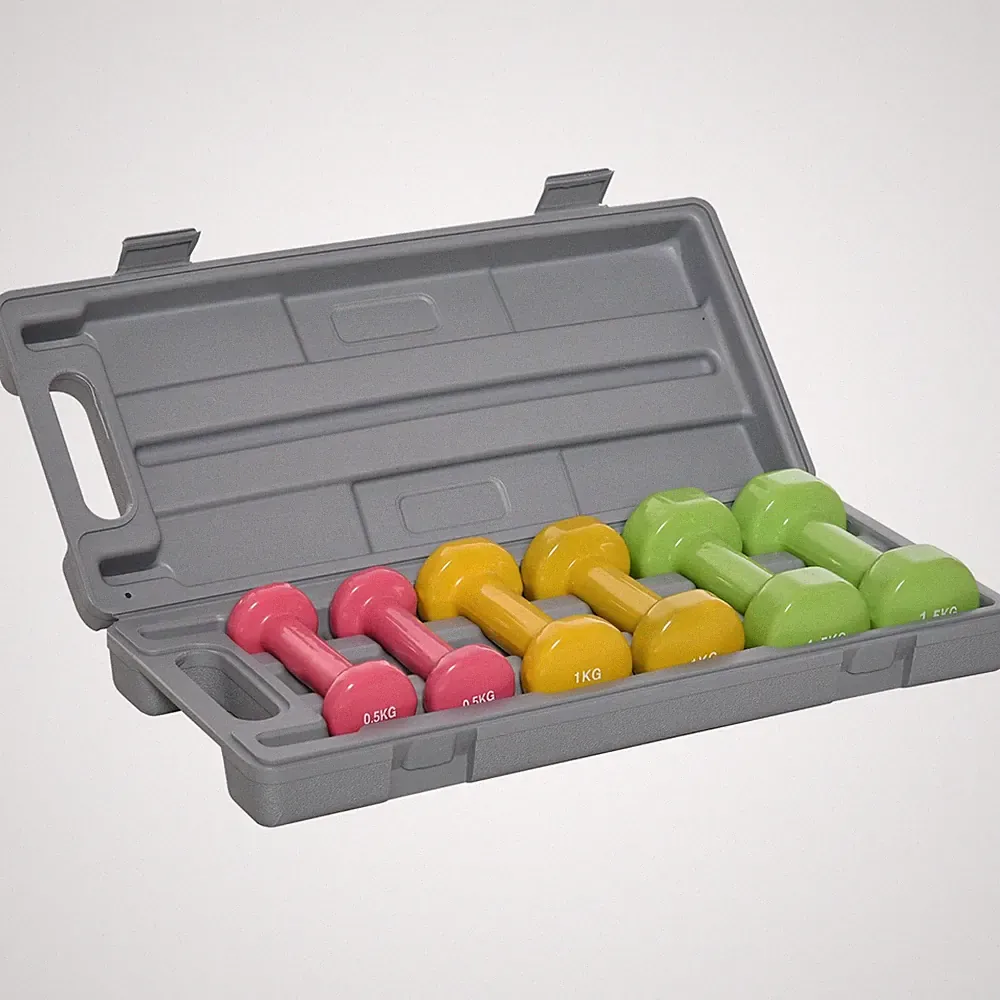 HOMCOM 6kg Hantelset mit Koffer Fitness Gewichte Hanteln Set für Damen