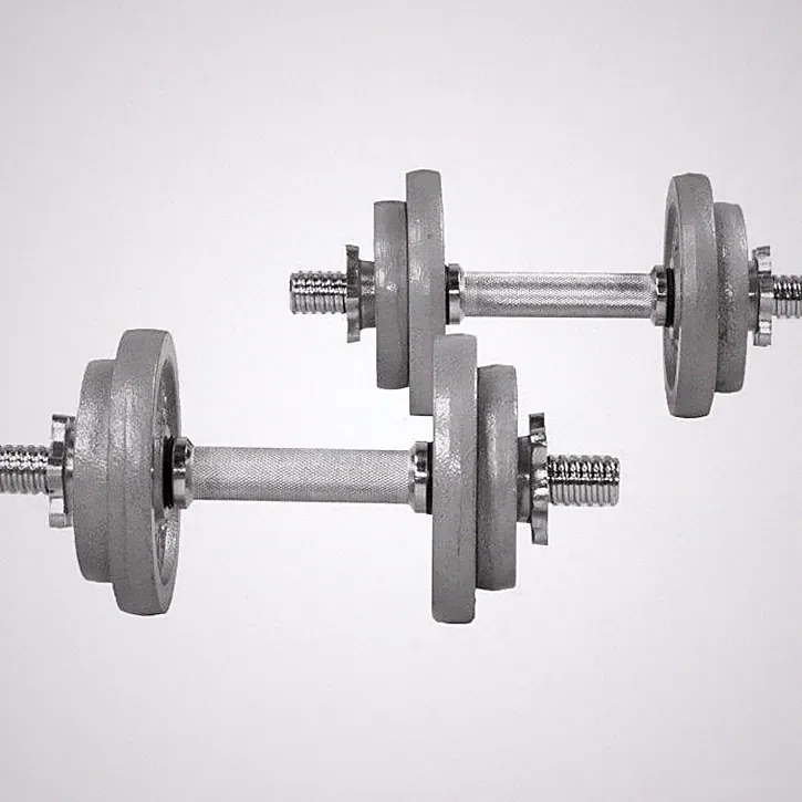 Kurzhantel Set Gusseisen 20 kg Gorilla Sports