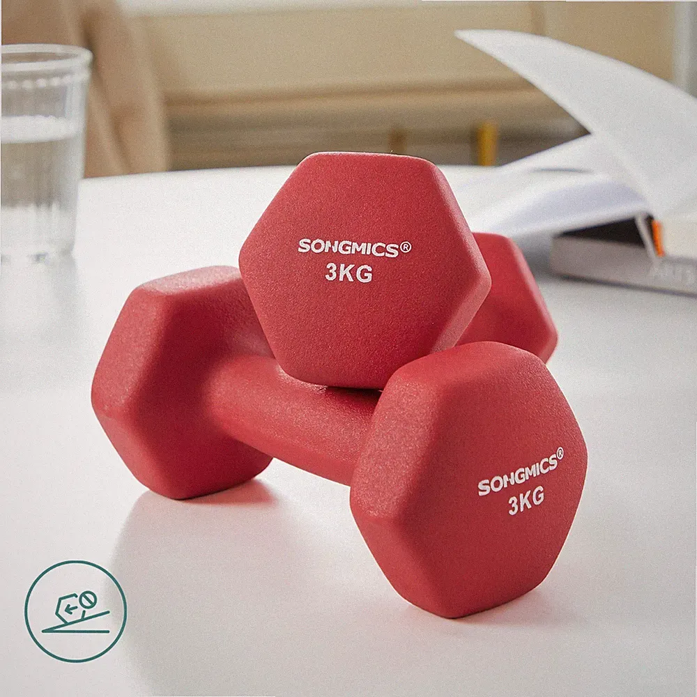 Kurzhanteln Set 3kg Kurzhantel Krafttraining Hantel Gewichte Hantelschei SYL66RD