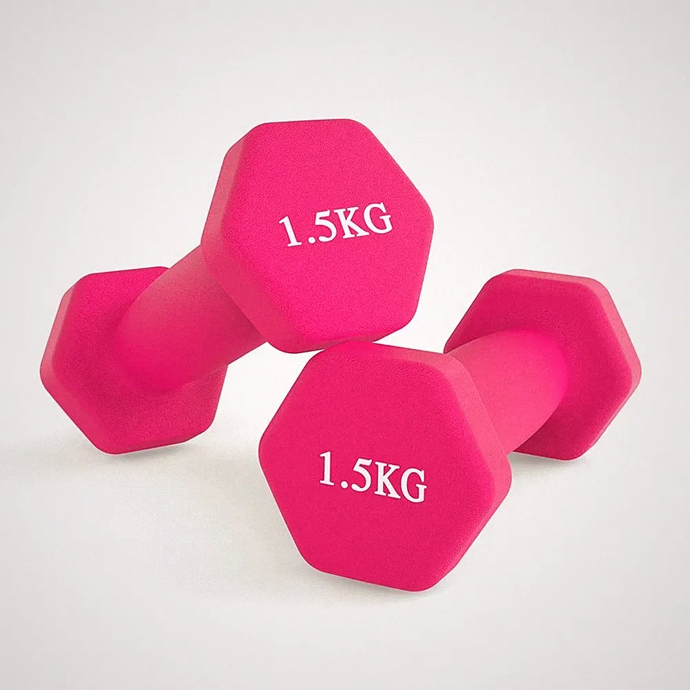 Neopren Hantel Handgewichte, Schweißresistente Hantelgewichte Set, Home Gym Fi