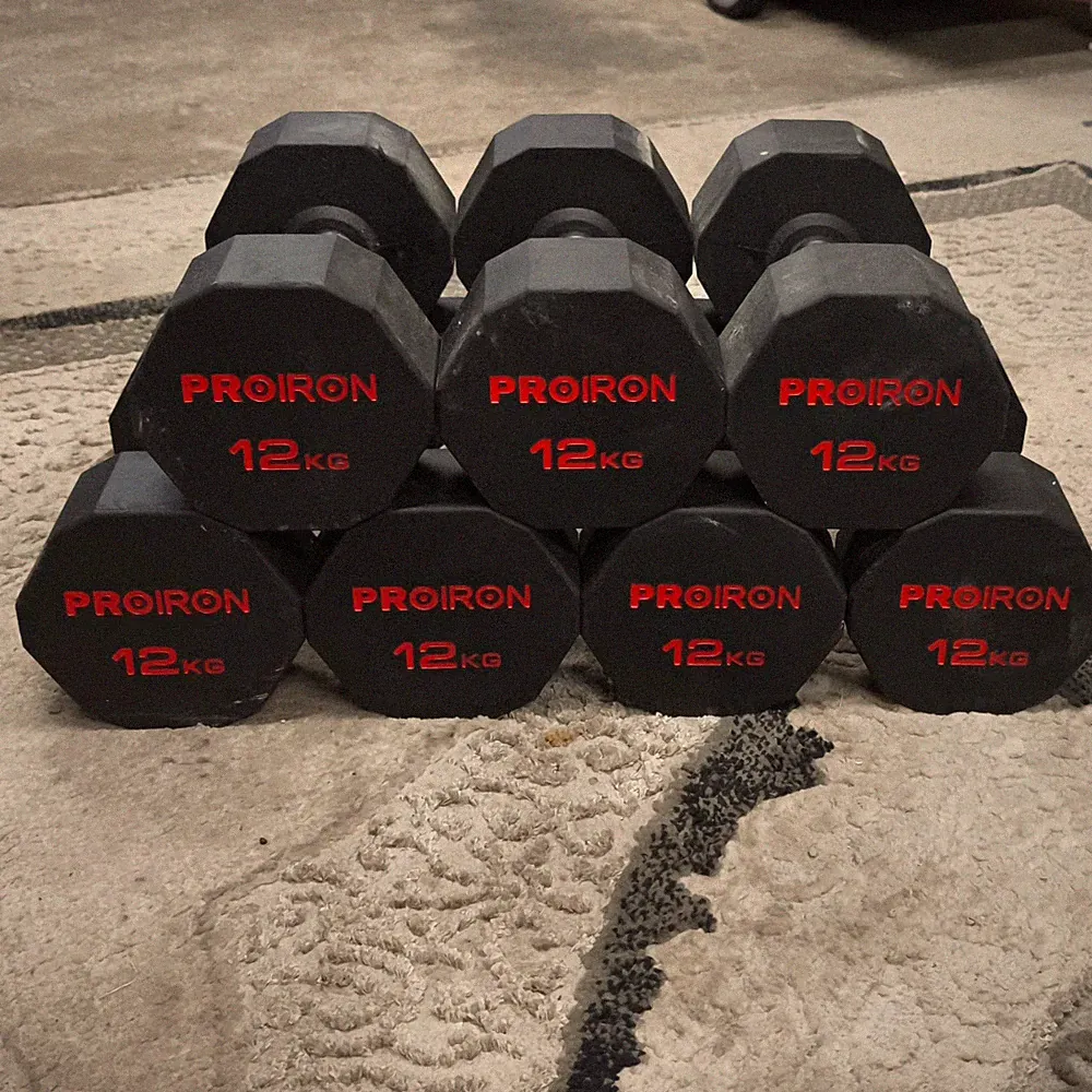 chrom hanteln 12kg