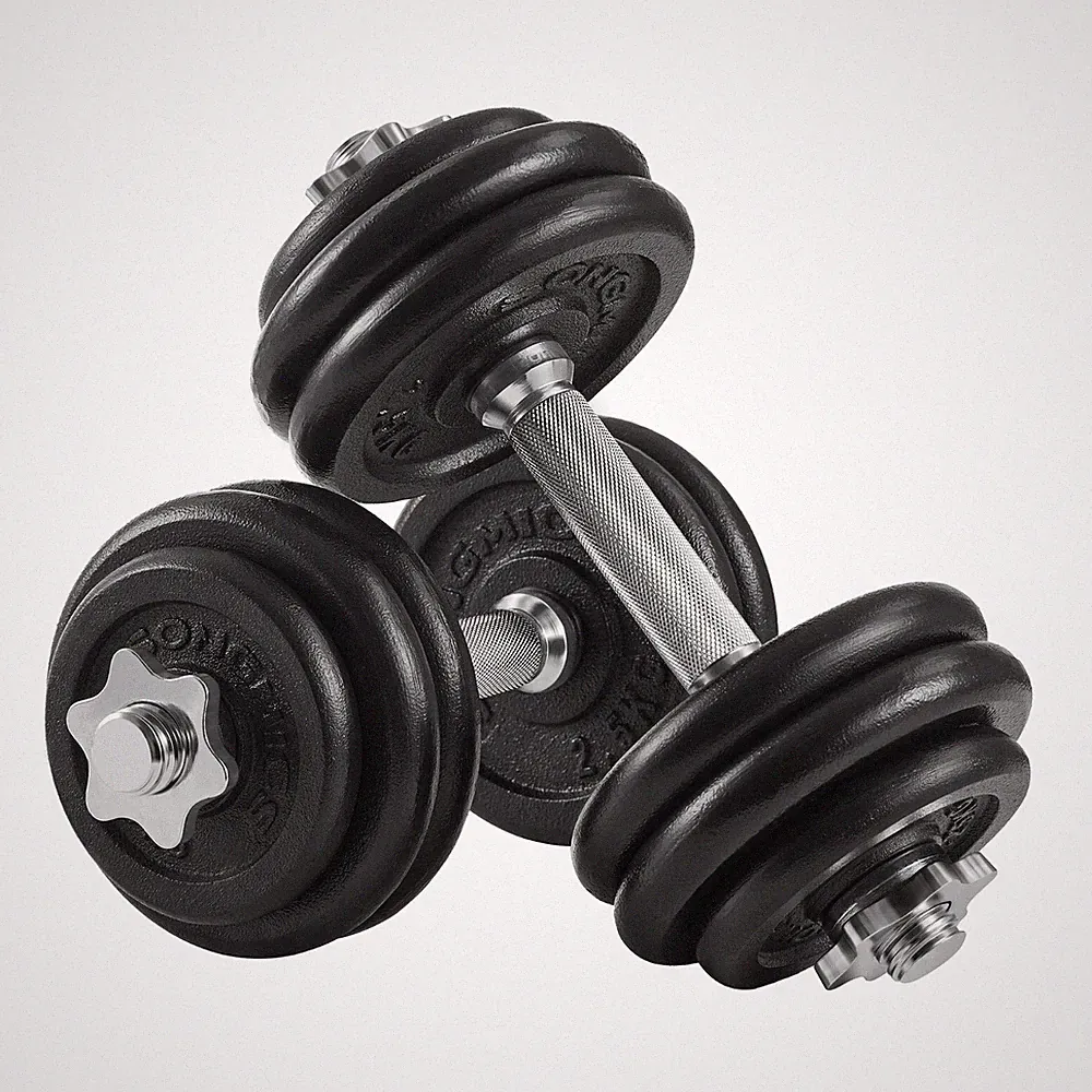 Songmics Gusseisen Hanteln (30kg / 2 x 15kg)