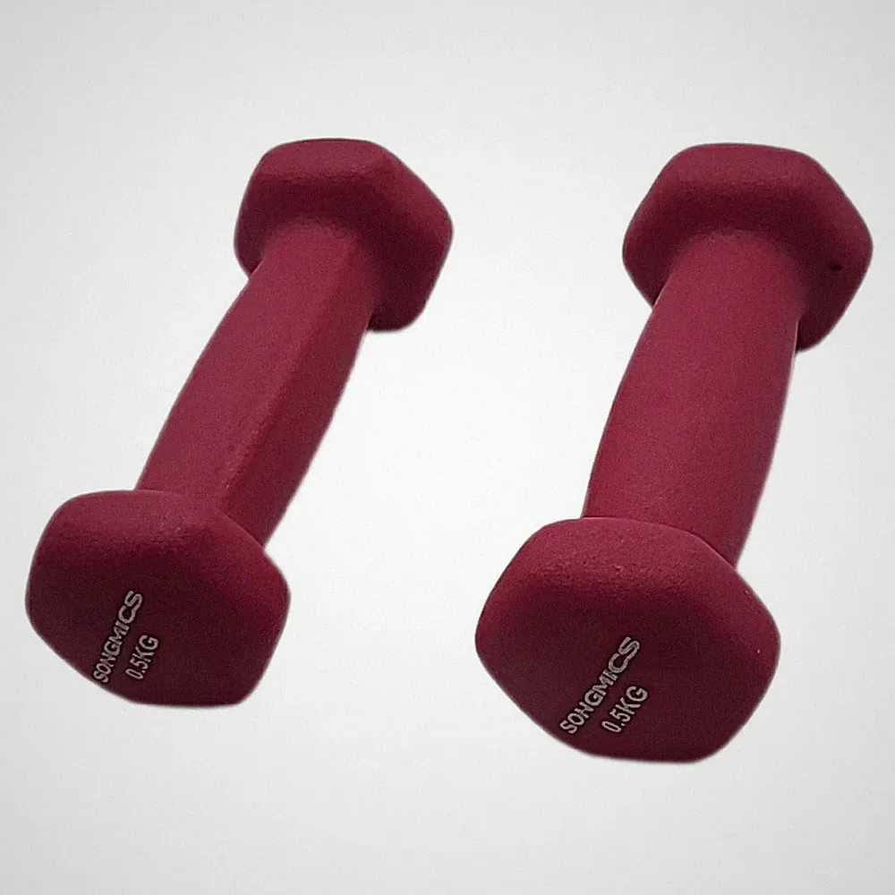 SONGMICS Hanteln, 2er Set, 2 x 0,5 kg, Hexagon, 2 x 0.5 kg SYL61PK