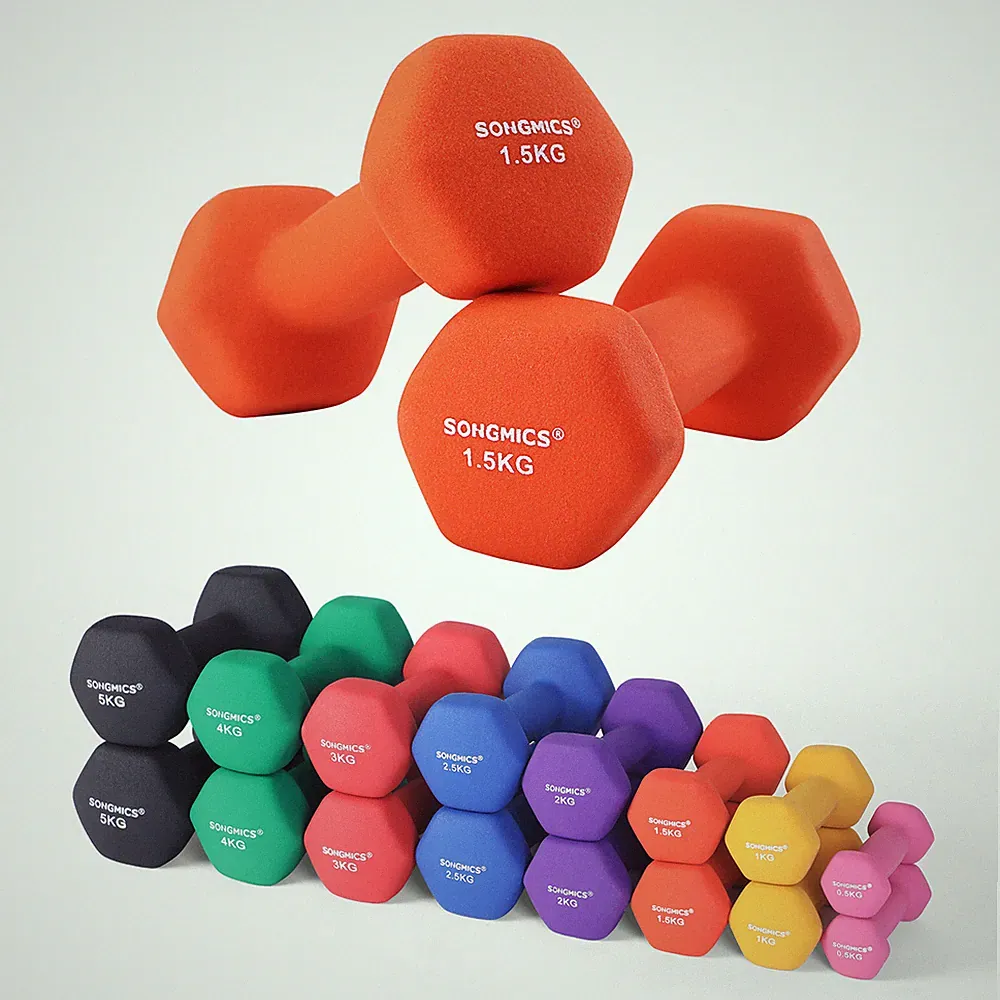 SONGMICS Hanteln 2er-Set 5 kg Vinyl