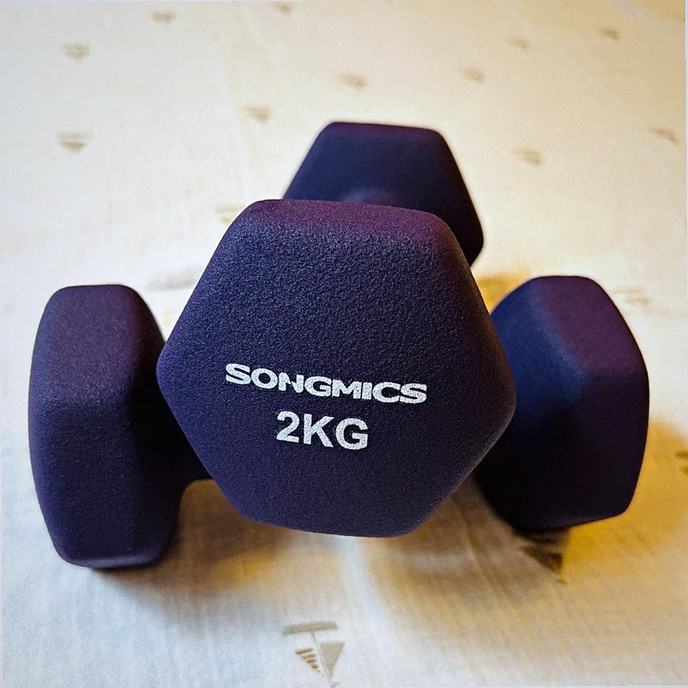 SONGMICS Kurzhanteln 2 kg lila 2er-Set, festes Gewicht, Hex-Form