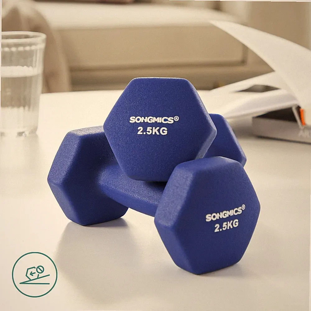 SONGMICS Kurzhanteln 2er Set 2,5 kg