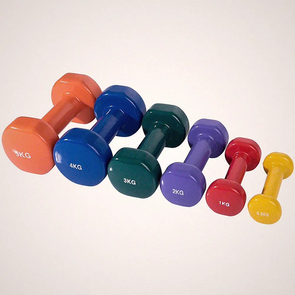 Sport-Tec Fausthanteln 0,5-5 kg 6er Set