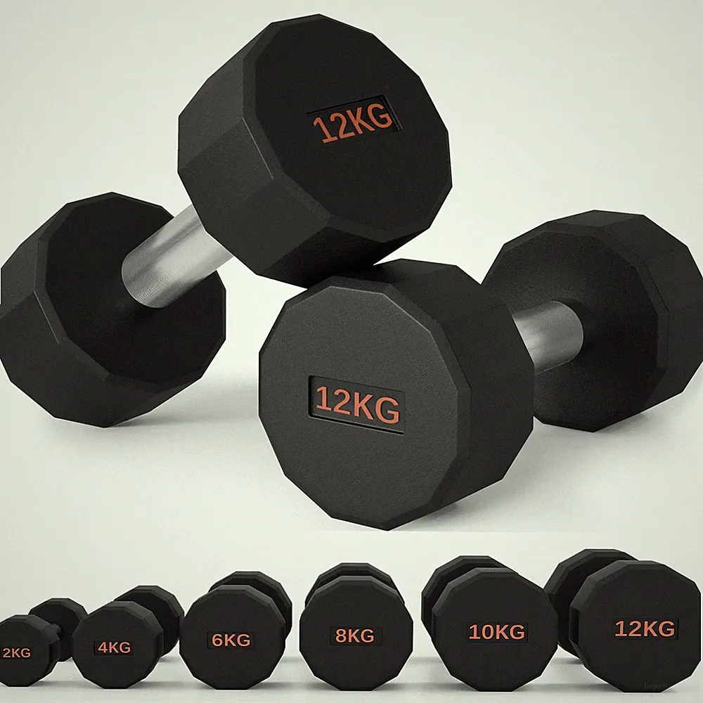 SPORTNOW Hanteln Gewichte Set mit 12-seitiger Form und rutschfestem Griff, 2 x 12 kg
