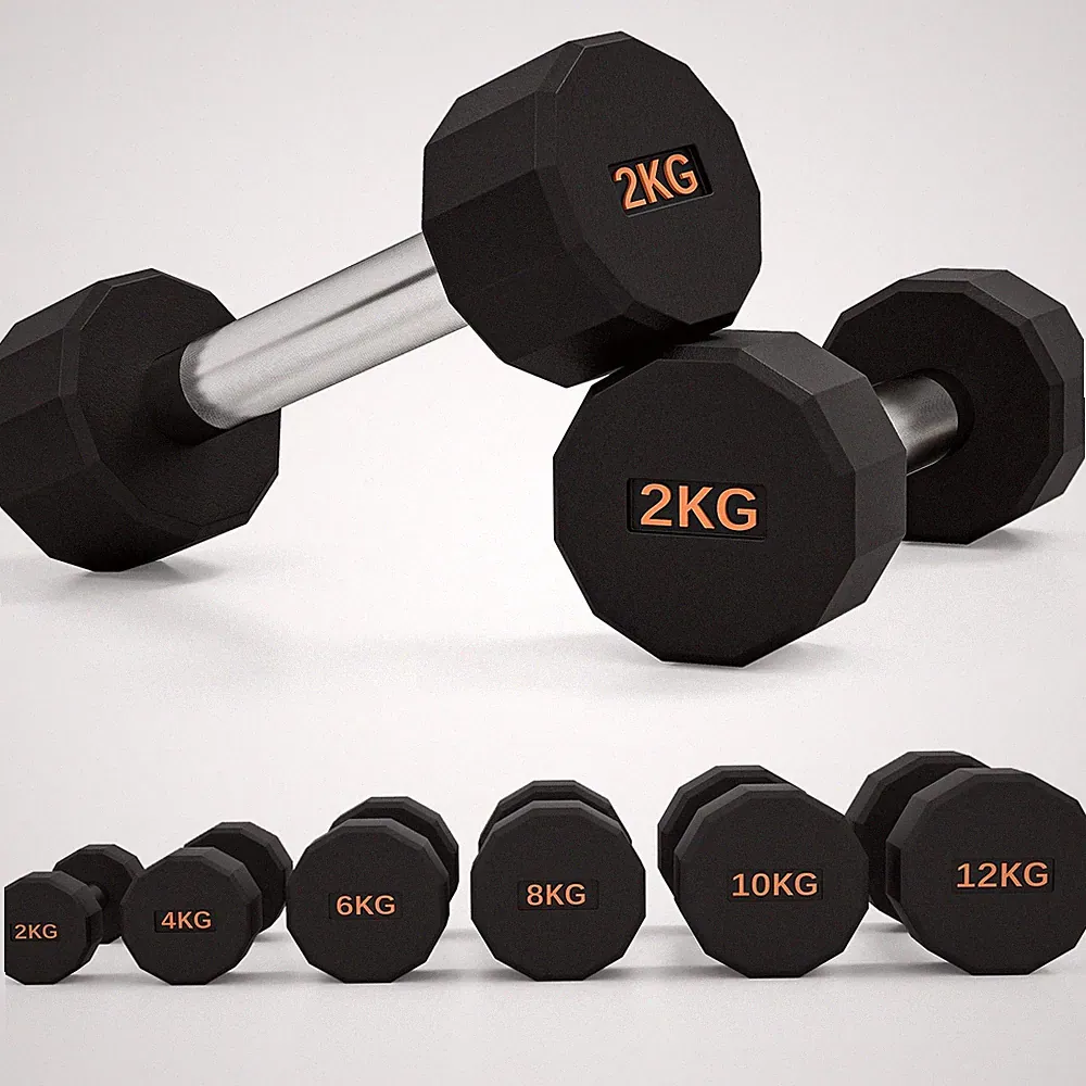 SPORTNOW Hanteln Gewichte Set mit 12-seitiger Form und rutschfestem Griff, 2 x 2 kg