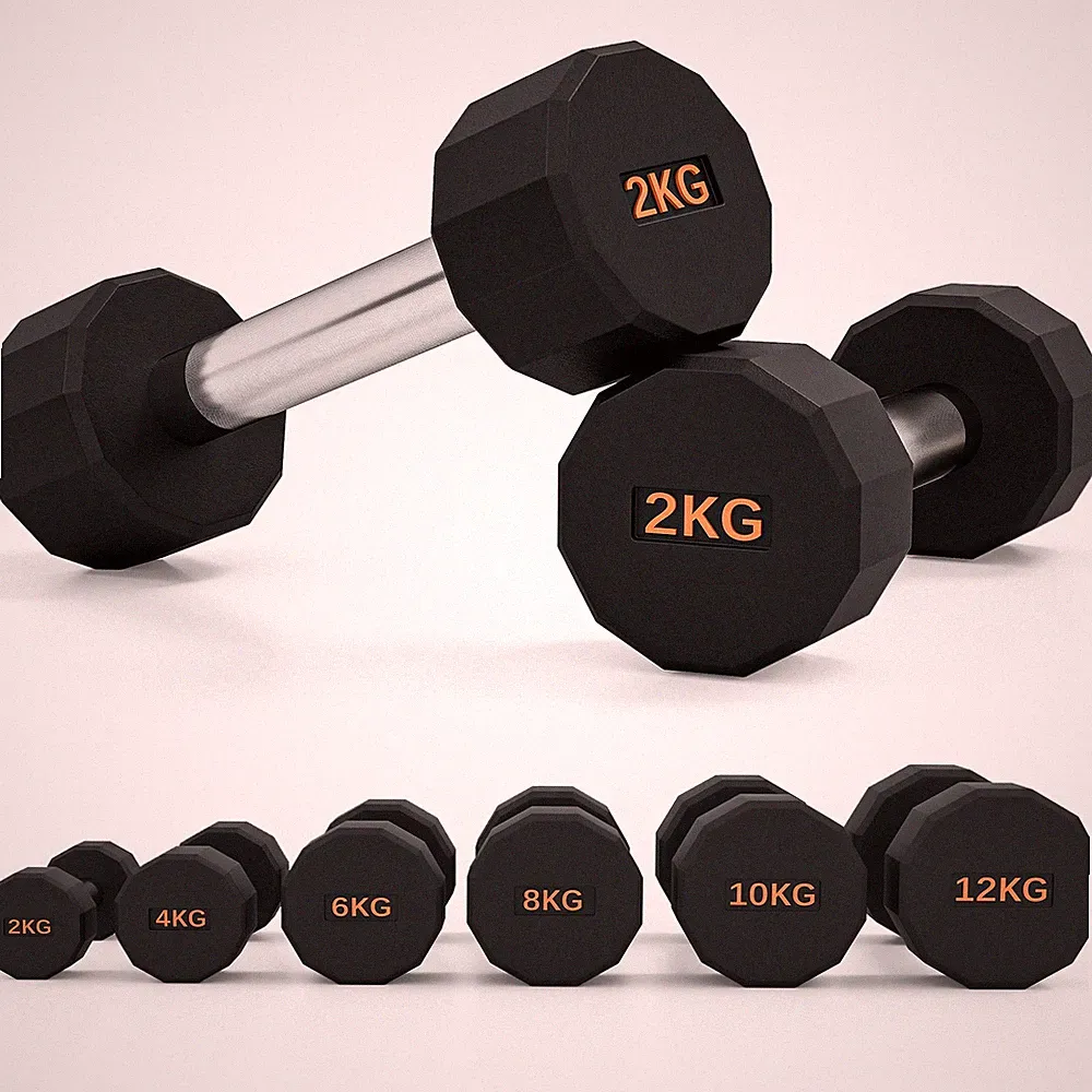 SPORTNOW Hanteln Gewichte Set mit 12-seitiger Form und rutschfestem Griff, 2 x 2 kg