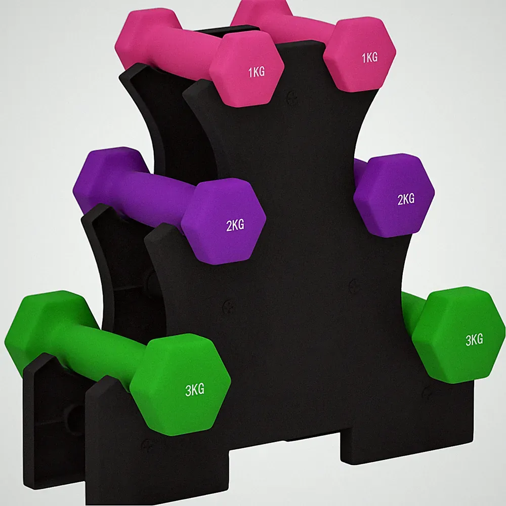 SPORTNOW Hex Hanteln Set 1kg 2kg 3kg mit Rack Home Gym Gewichte pink