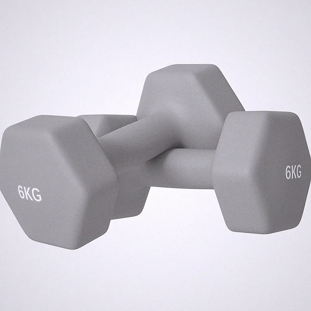 SPORTNOW Kurzhanteln 2 x 6 kg