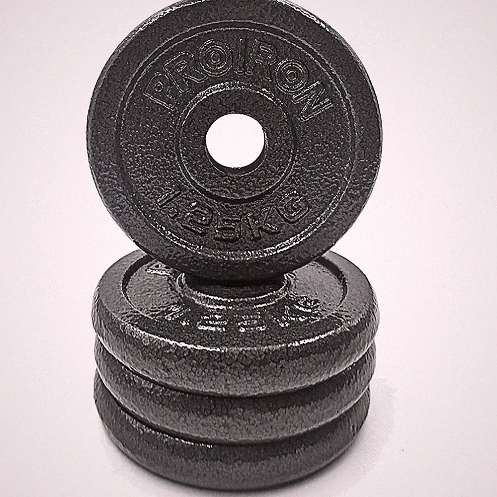 Vielseitiges Gusseisen Hantelscheiben-Set für 2,5 cm Hantelstangen - 4 Gewichte