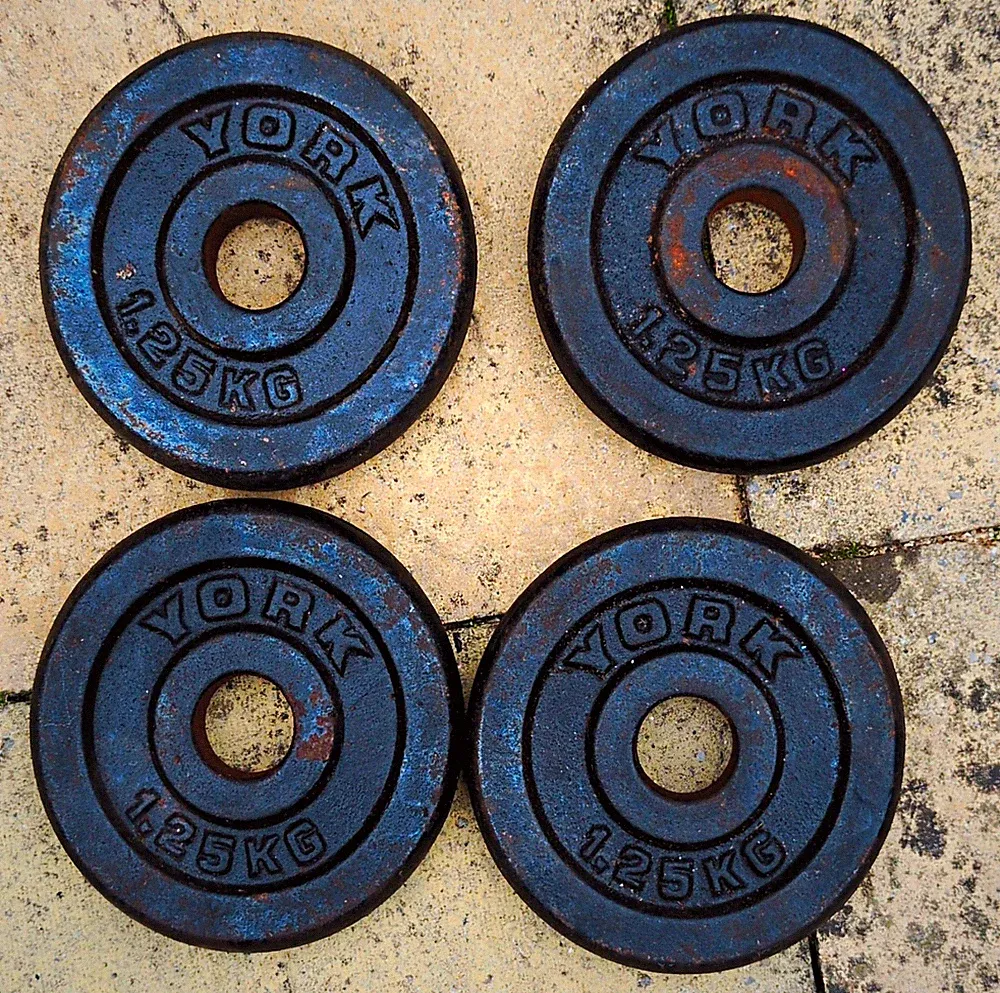 YORK 4 x 1,25 kg (5 kg) Gusseisen Standard Hantelscheiben Set schwarz